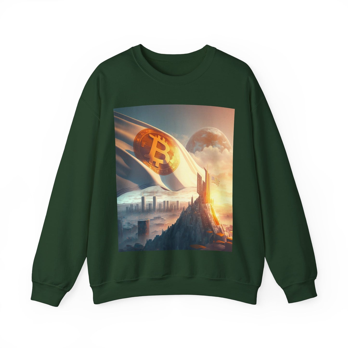 Future City Sweater