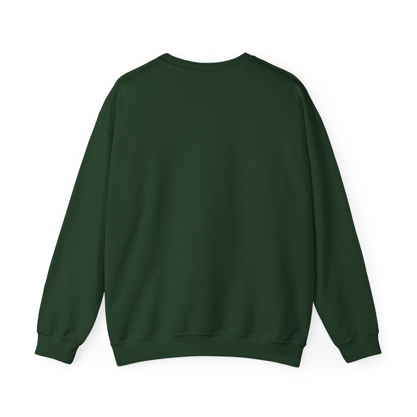 Future City Sweater