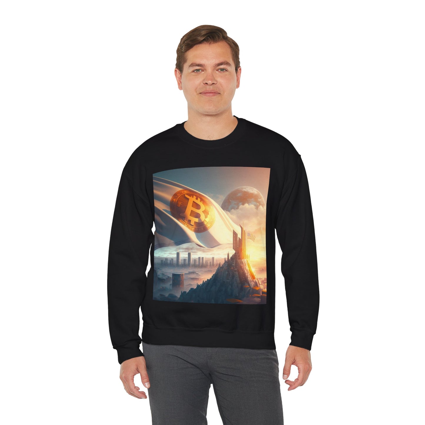 Future City Sweater
