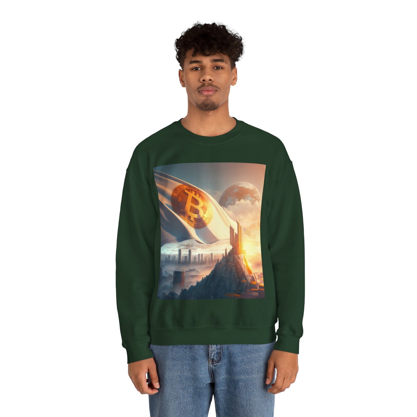Future City Sweater