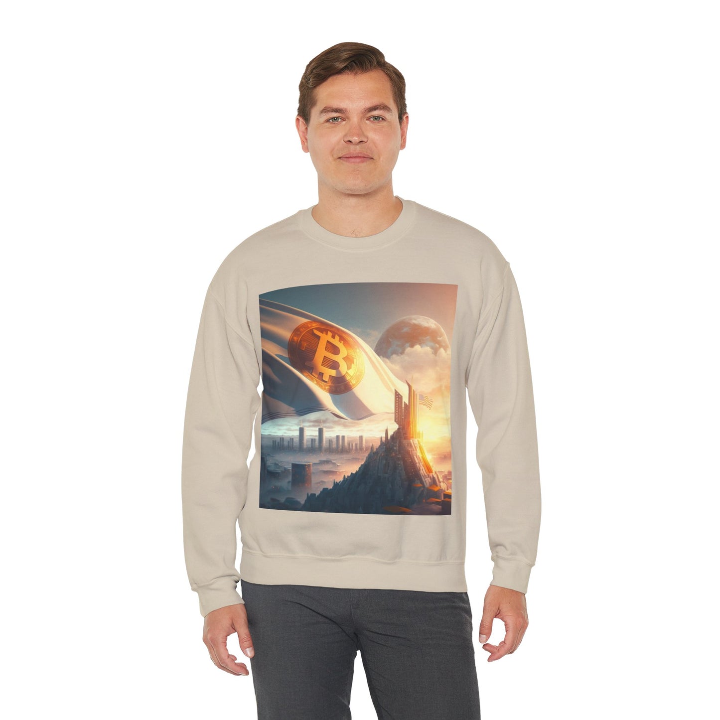 Future City Sweater