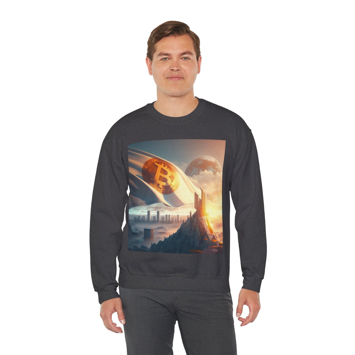 Future City Sweater