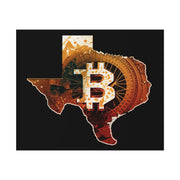 TexaCoin Poster