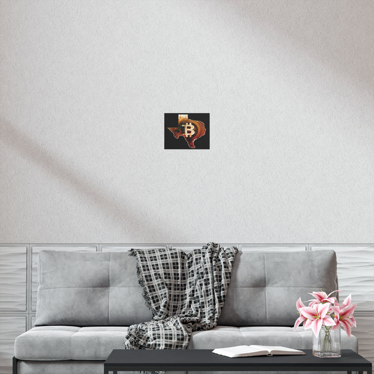TexaCoin Poster