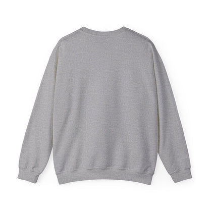 Race Thru Space & Time Sweater
