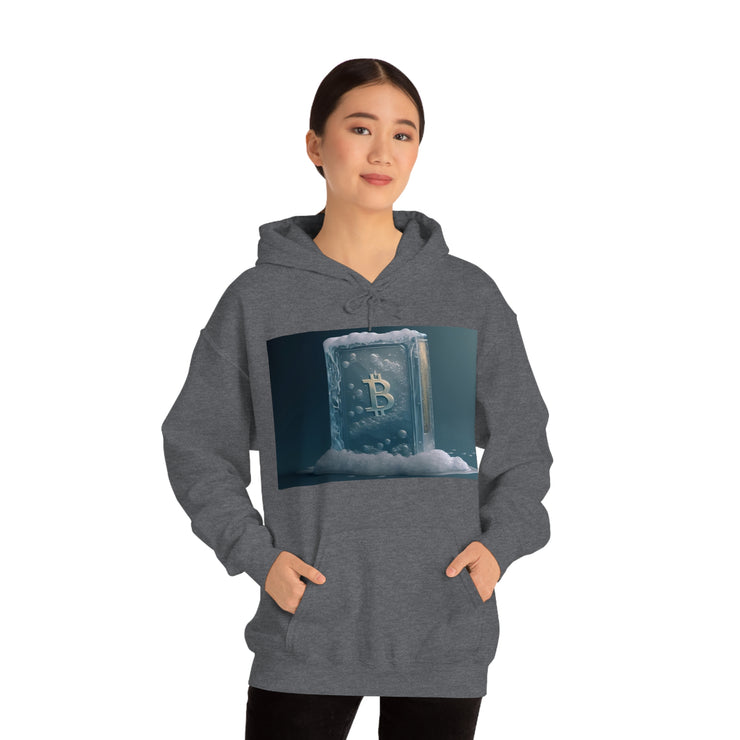 Cold Store Hoodie