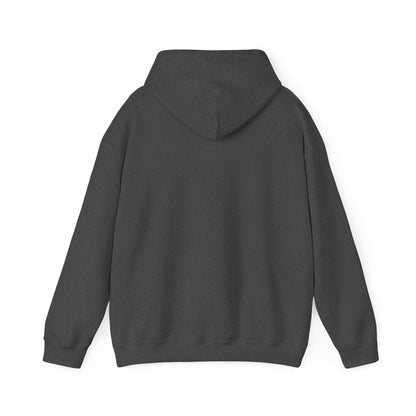 Love Bitcoin Hoodie